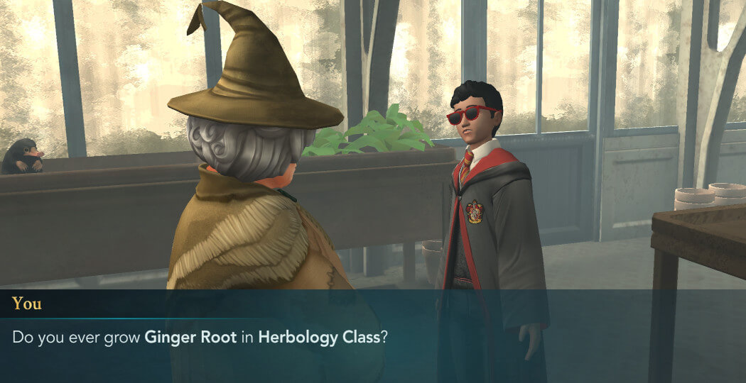 Harry Potter Hogwarts Mystery Walkthrough Year 4 Chapter 11